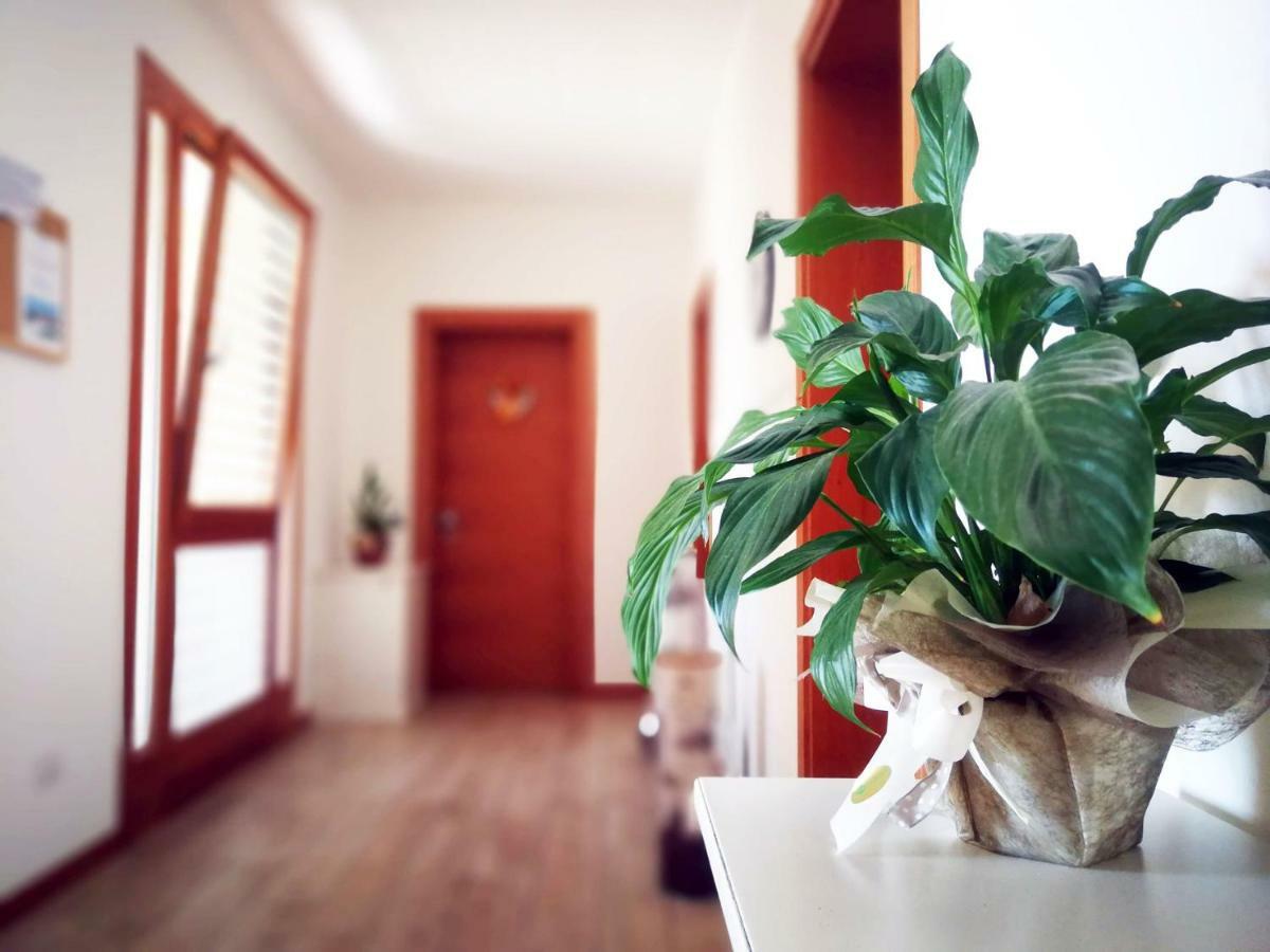 Agriturismo Casa Rossa Postioma Dış mekan fotoğraf